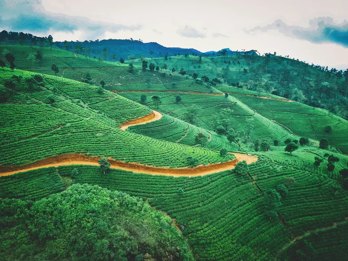 Nuwara Eliya, Sri Lanka