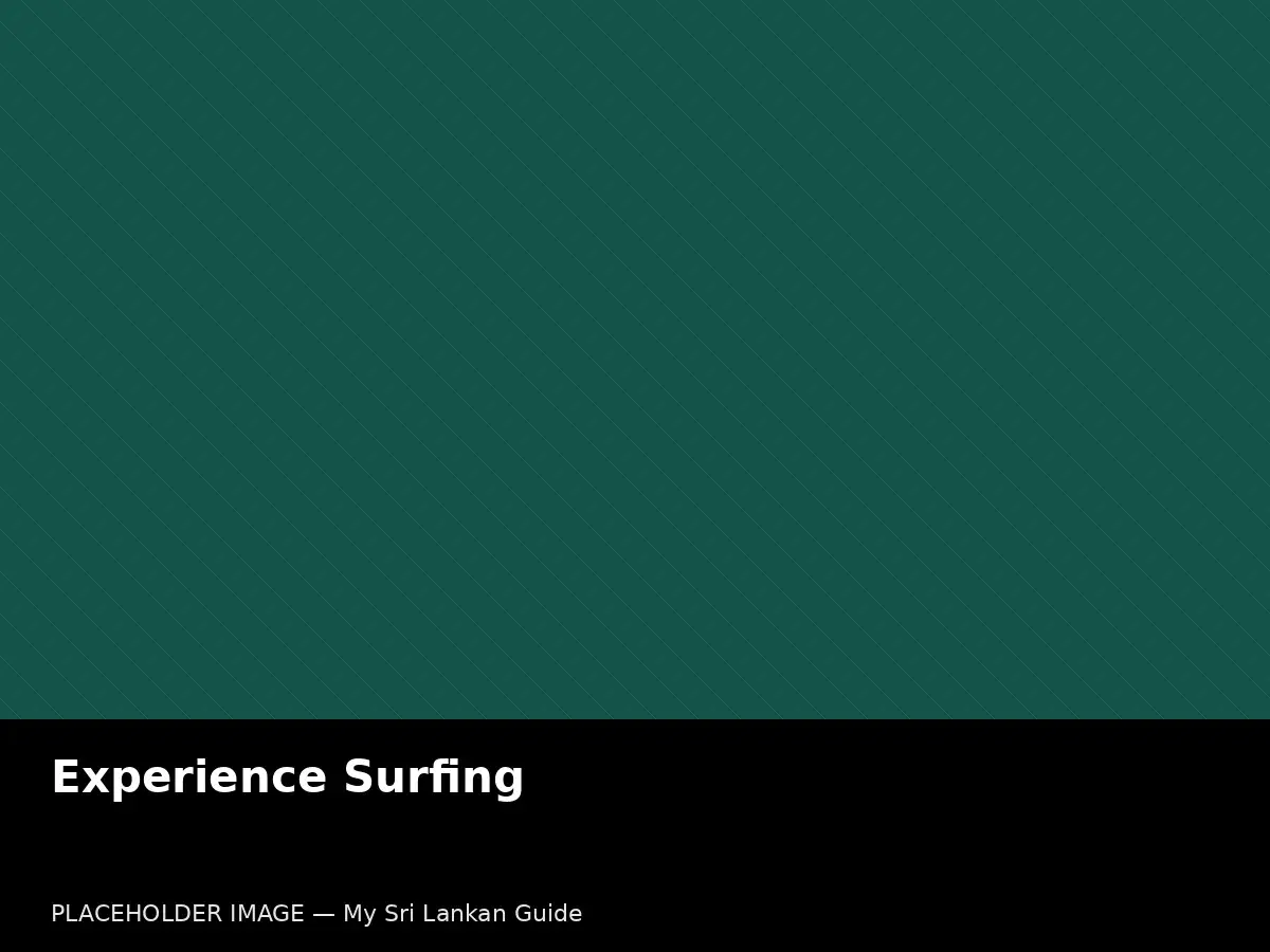 Surfing lesson in Sri Lanka