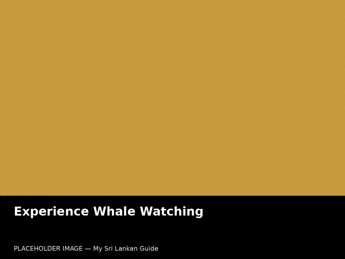 Whale watching boat trip