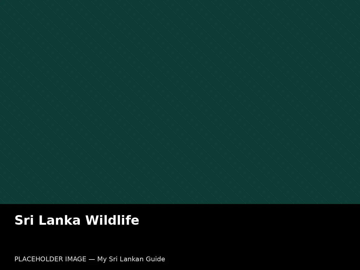 Sri Lanka wildlife safari