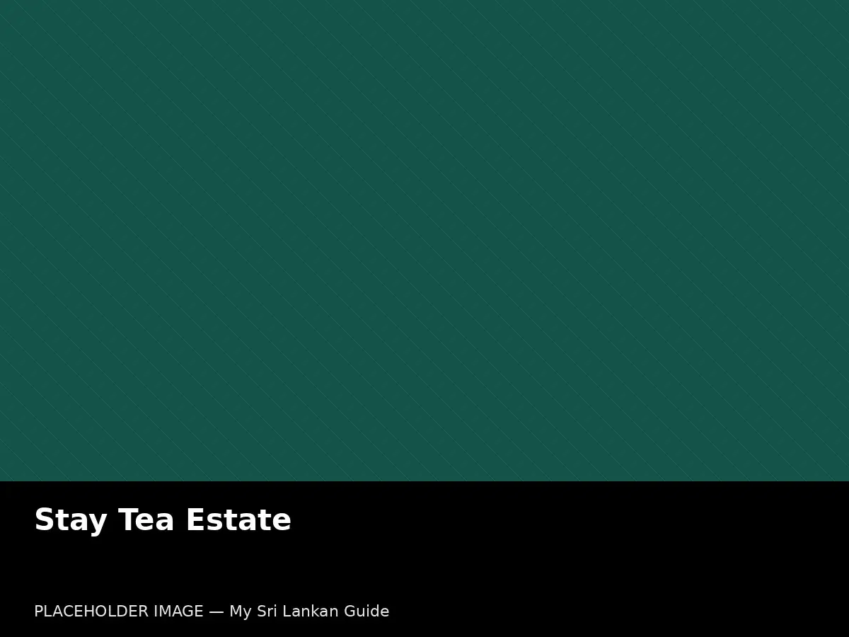 Tea estate bungalow in Sri Lanka
